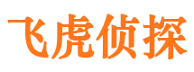 西盟市调查取证